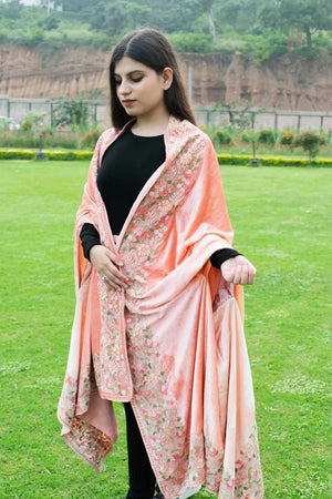 #Peach Gloss Velvet Ombre Cape with Aari Work: Peach and Fawn