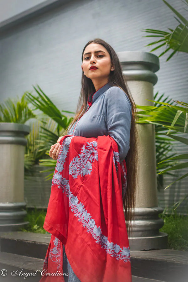 Vaira — Kaschmirische Aari-Arbeit Salwar Anzug